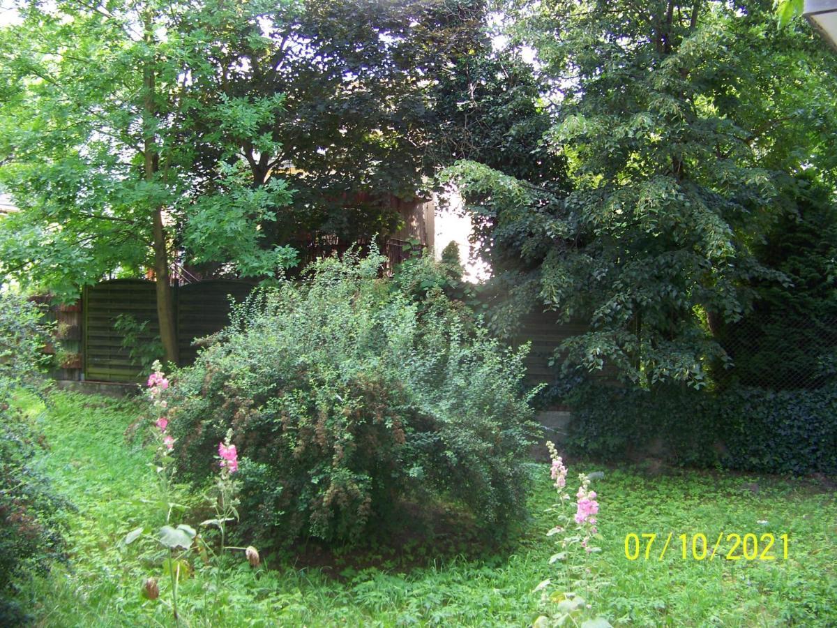 Zielony Apartament, Kielce, Targi, Centrum Εξωτερικό φωτογραφία