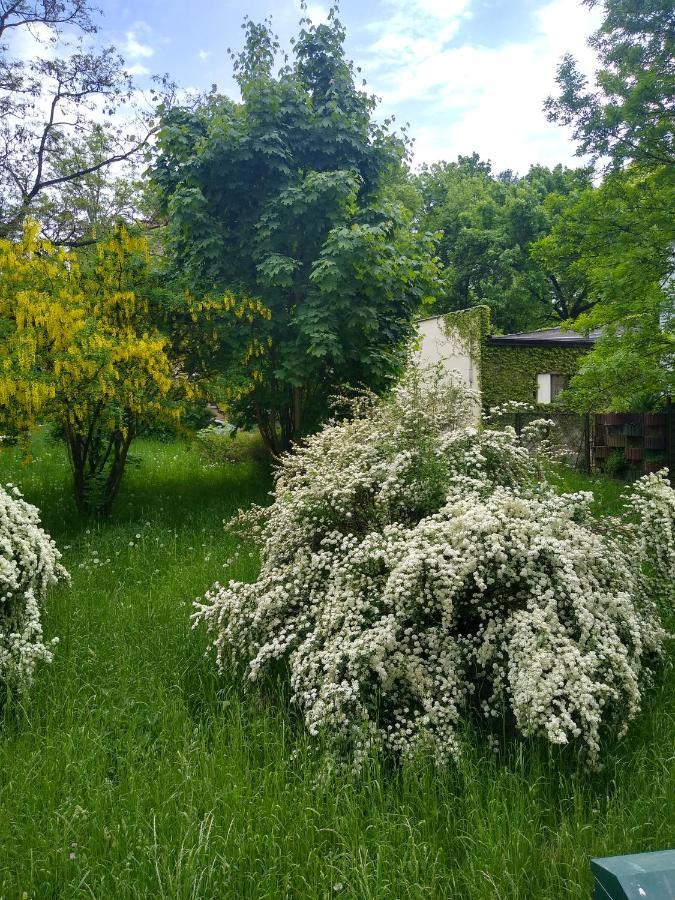 Zielony Apartament, Kielce, Targi, Centrum Εξωτερικό φωτογραφία